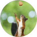 Ka Li profile picture